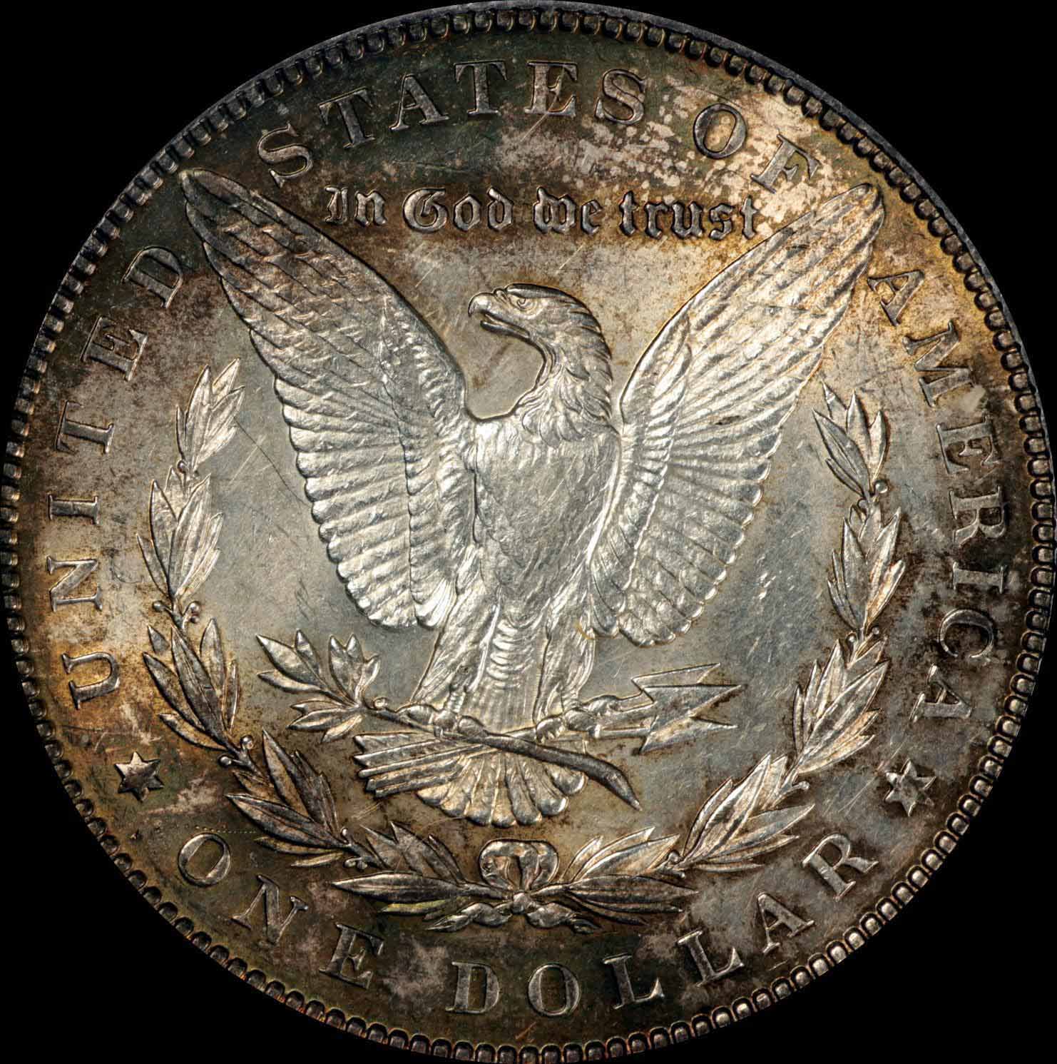 1899-Morgan-PCGS-Results-Not-Good