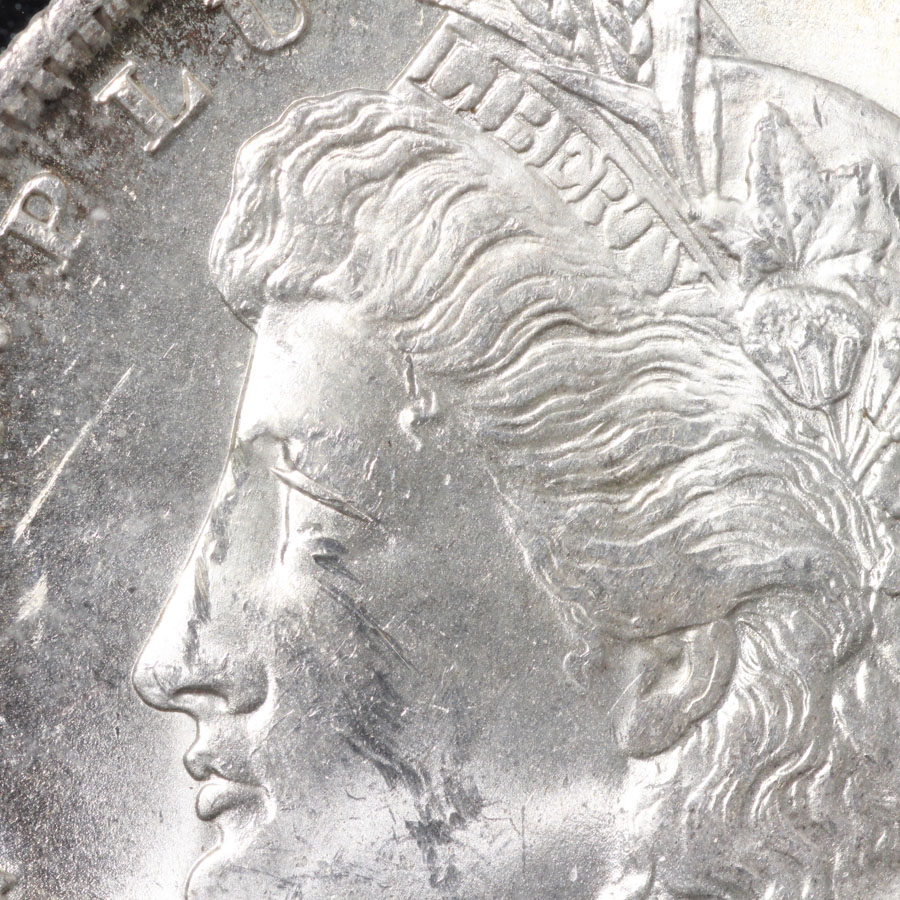 You-Vs-PCGS-1889-O-Morgan