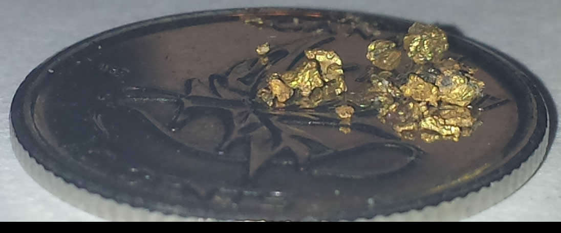 Has-Anyone-Panned-For-Gold?