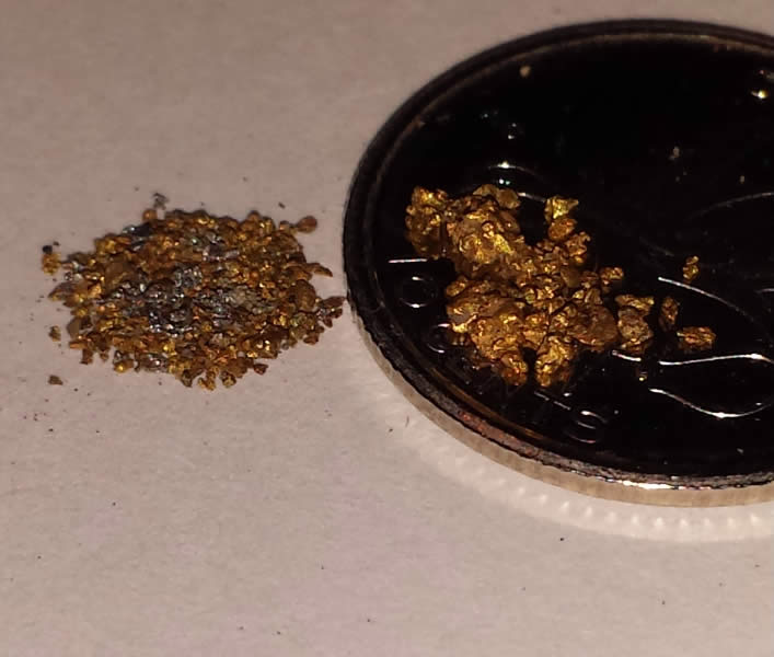 Has-Anyone-Panned-For-Gold?