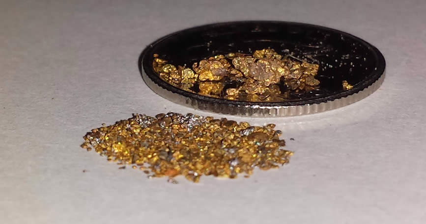Has-Anyone-Panned-For-Gold?
