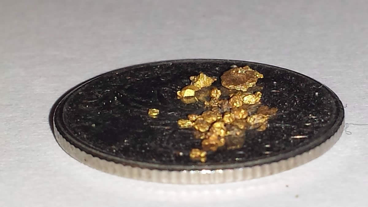 Has-Anyone-Panned-For-Gold?