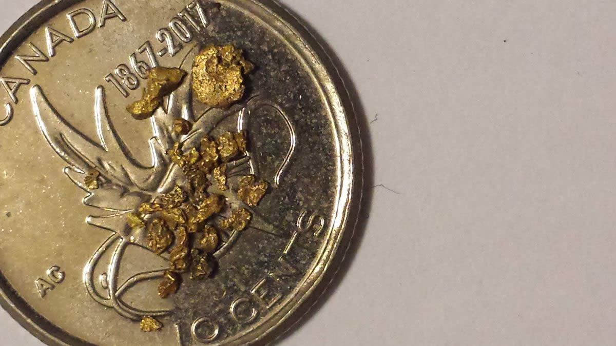 Has-Anyone-Panned-For-Gold?