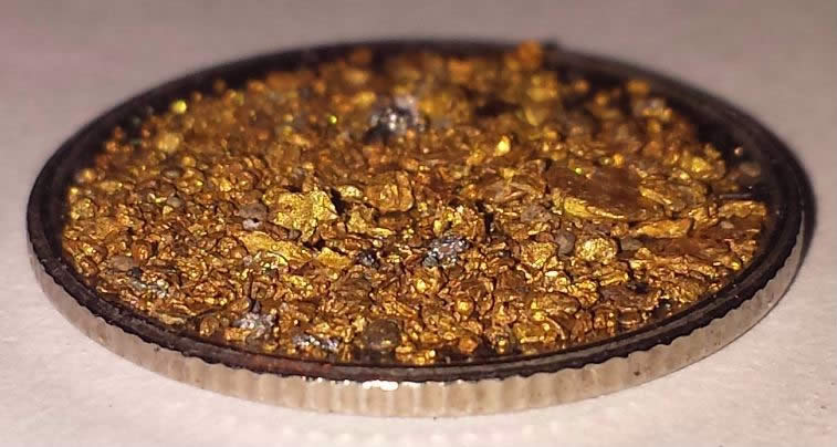 Has-Anyone-Panned-For-Gold?