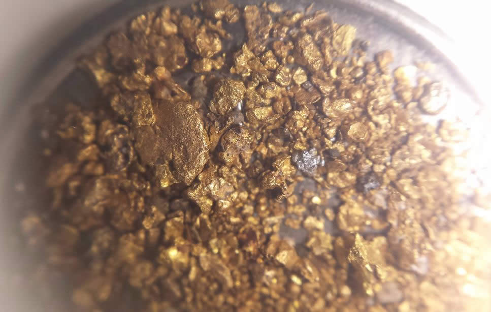 Has-Anyone-Panned-For-Gold?