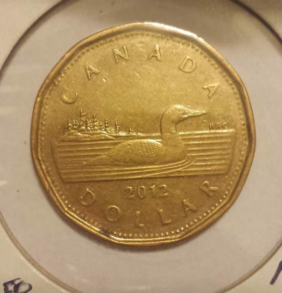 Have-You-Found-These-Loonies?