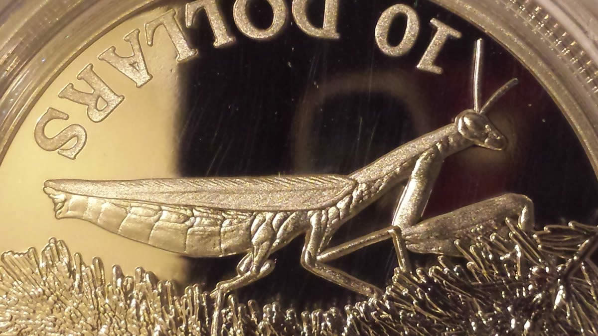 Post-Your-Coins-Depicting-Insects