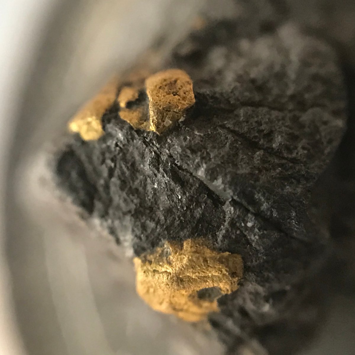 Has-Anyone-Panned-For-Gold?