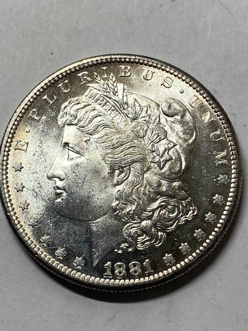 Please-Help-Grade-Morgan-1881-S