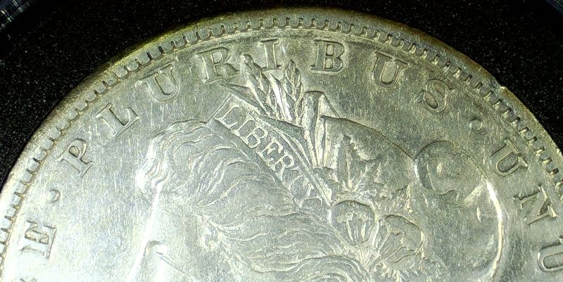 Grade-This-Morgan-Dollar