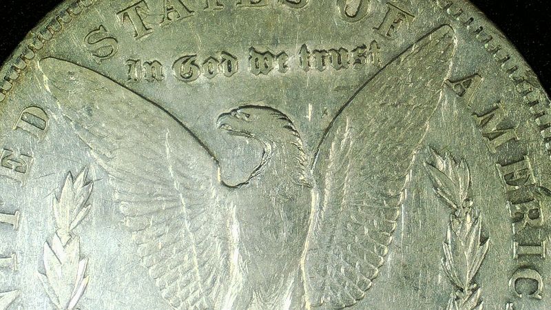 Grade-This-Morgan-Dollar