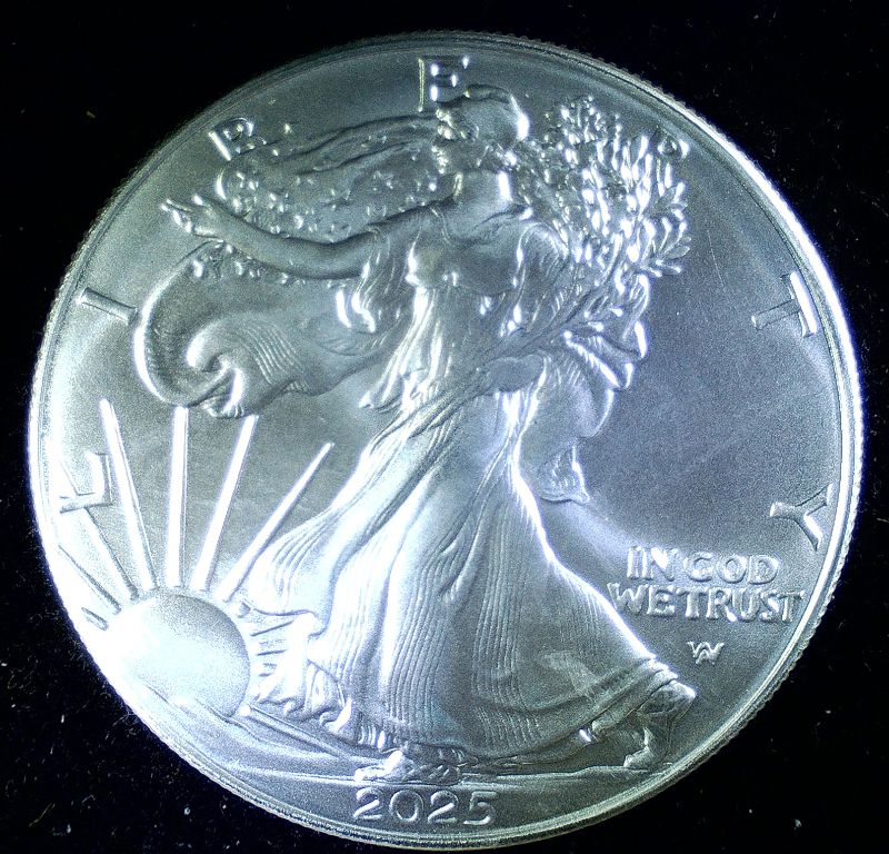 2025-Silver-Eagle-Ping