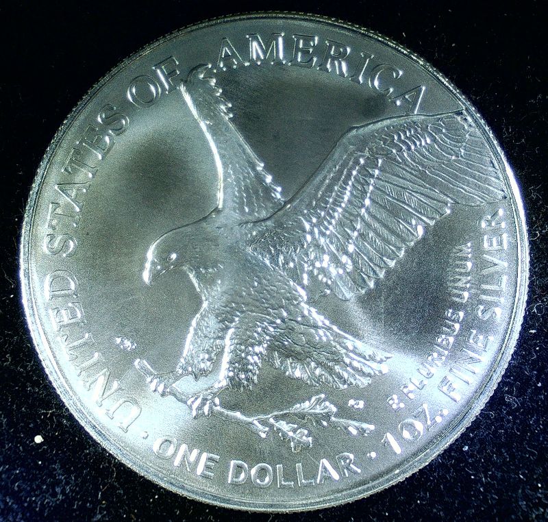 2025-Silver-Eagle-Ping