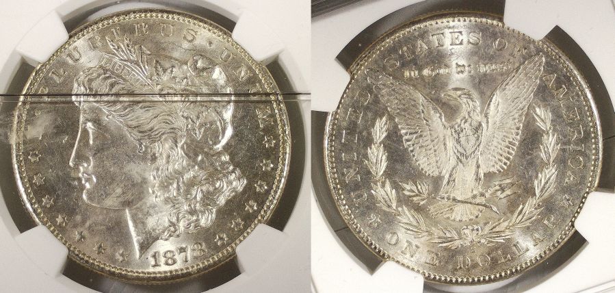 Continuing-List-To-Show-Everyones-Latest-Acquisitions