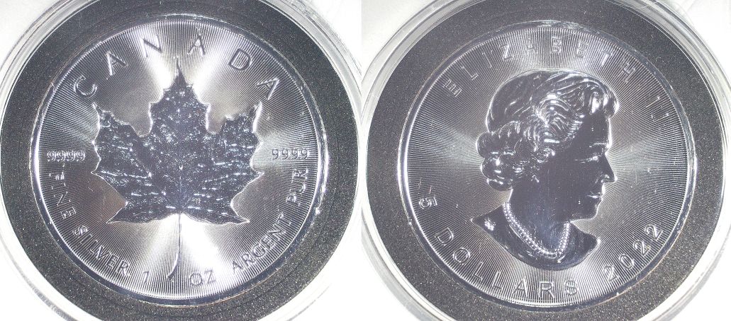 Continuing-List-To-Show-Everyones-Latest-Acquisitions