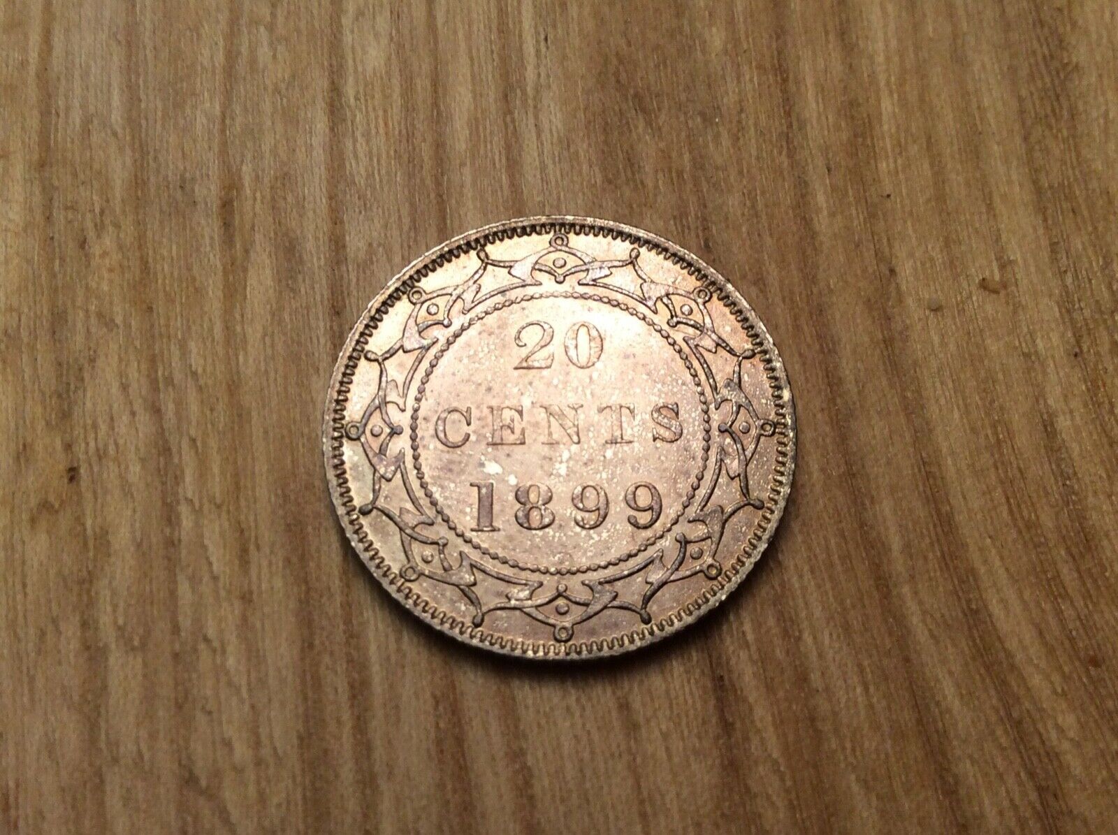 1899-Newfoundland-20-Cent--Looking-For-Opinions..