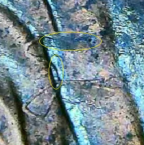 1989-Lincoln-Cent-Is-That-Thread