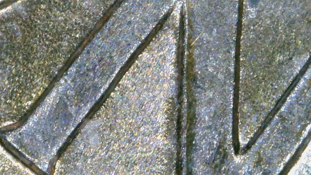 2006-D-Lincoln-Memorial-Cent-DDR-In-Question
