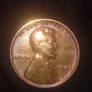 1929-Wheat-Penny.--?