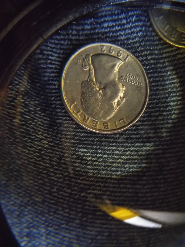 I-Have-Many-Coins-I'm-Wondering-If-They-Are-Just-Damage-Or-An-Actual-Mistak