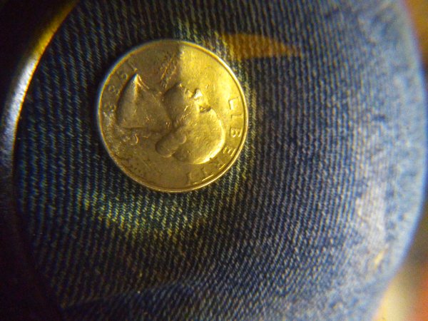 I-Have-Many-Coins-I'm-Wondering-If-They-Are-Just-Damage-Or-An-Actual-Mistak