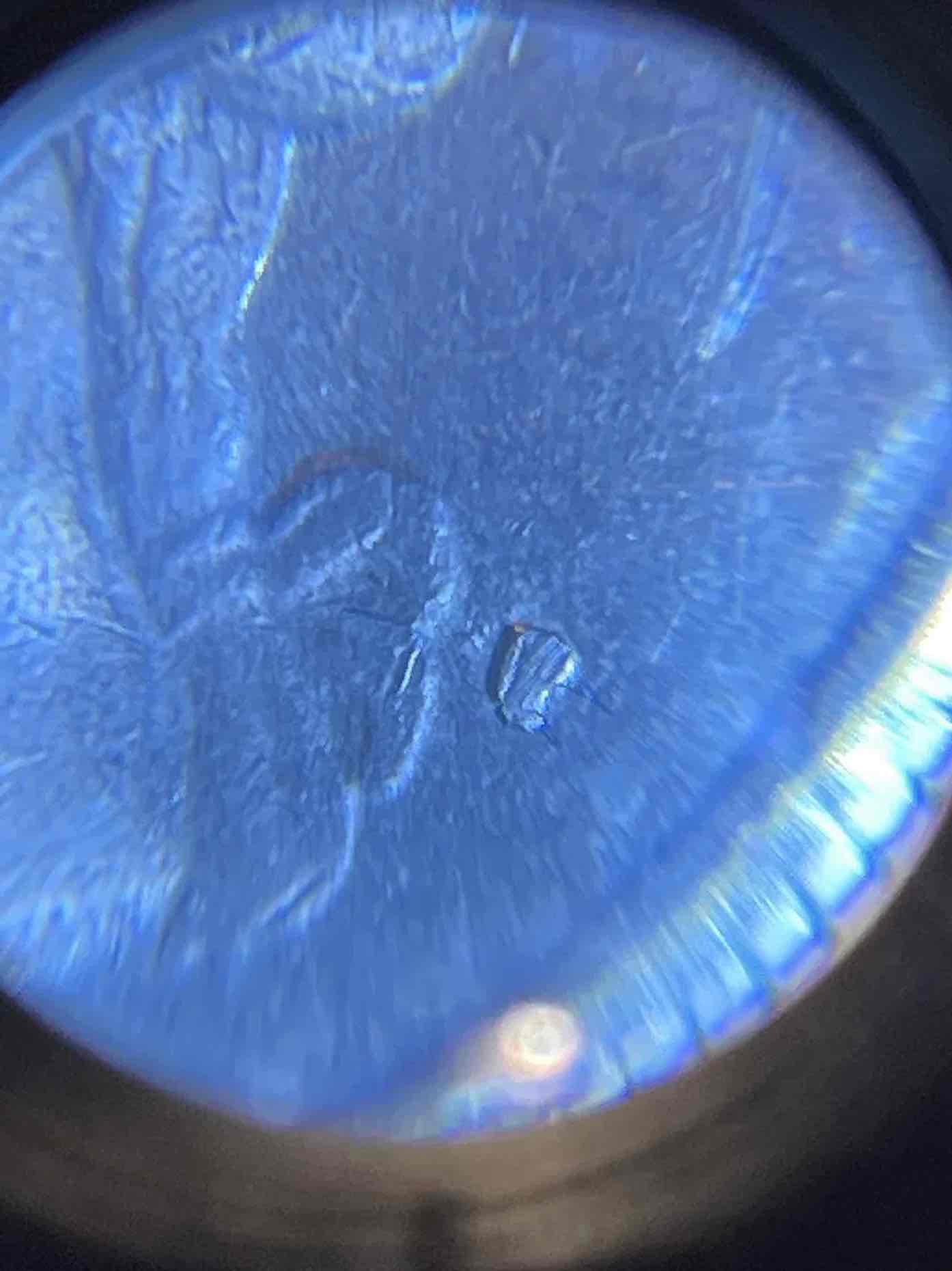 1981-P?-Quarter.-Double-Stamp?