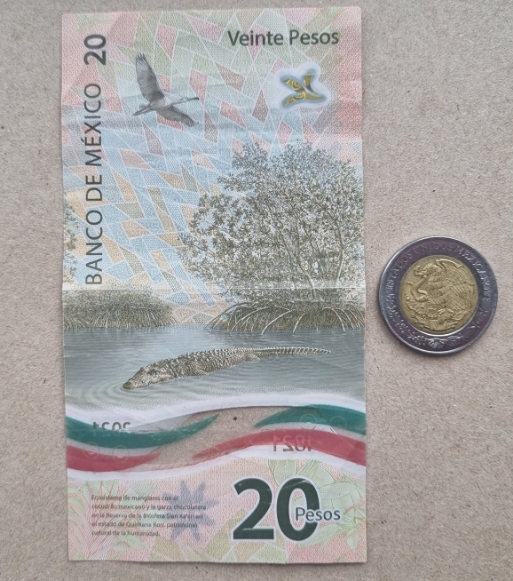 New-Coin-Purchases,-Slerk