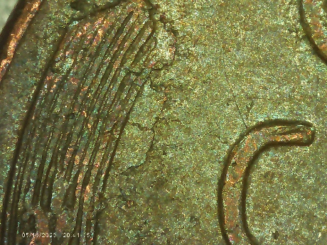 1958-D-LWC-Are-These-Lamination-Issues-On-Obverse-Of-Coin