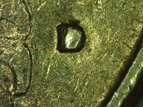 1979-D-Quarter-Possible-RPM