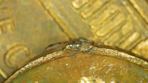 1981-LMC-Coin-Is-In-Terrible-Shape-Not-Worth-2x2-But-Am-Curious-As-To-What-Is-On-The-Rim,-Cud?