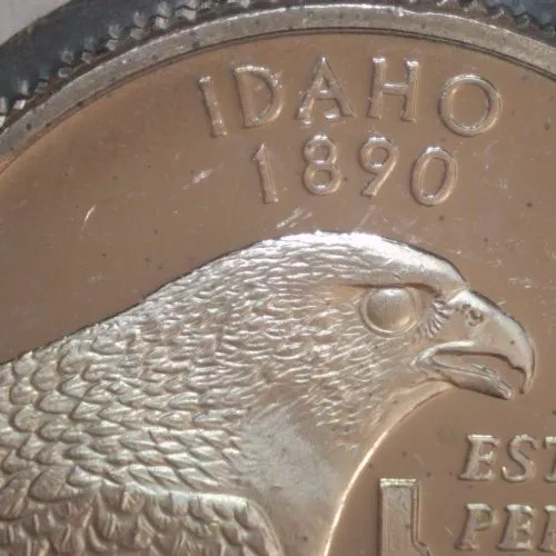 2007-S-Quarter,-Idaho-Proof-/-Another-Fun-Find!
