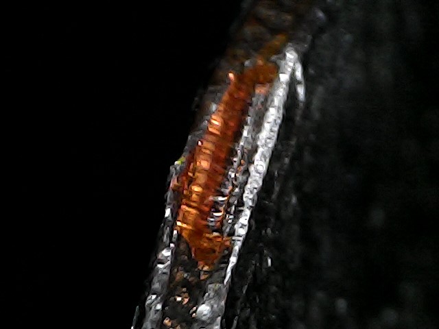 1967-Dime:-Error-Or-Altered?-Annealing-Question.