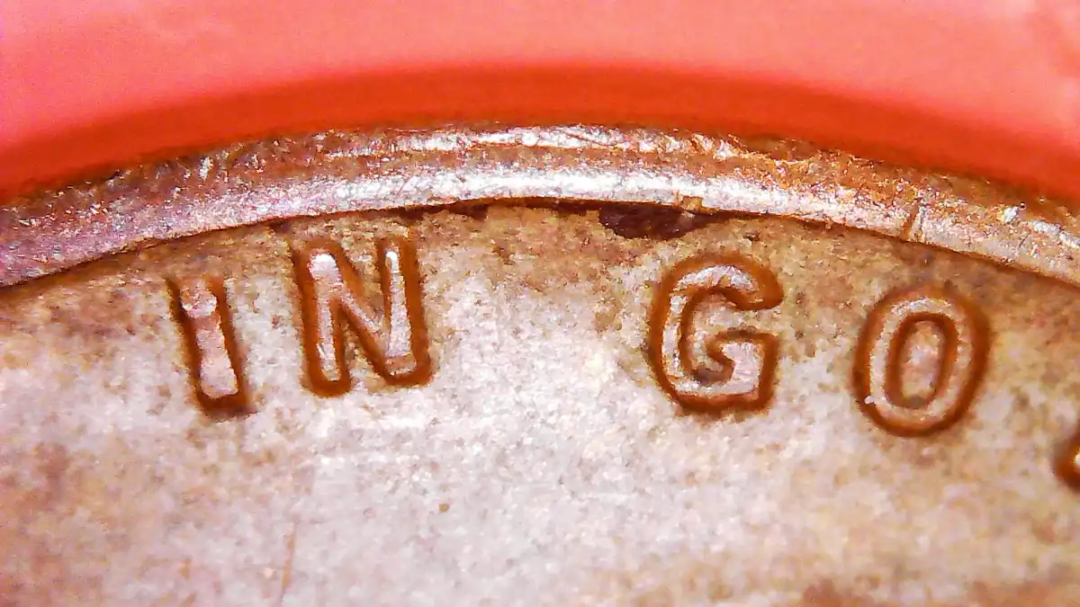 New-Member-&-1958-Double-Die-Opinions