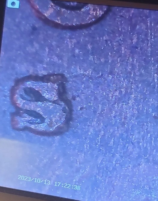 1909-S-Weak-VDB/-S-Over-S