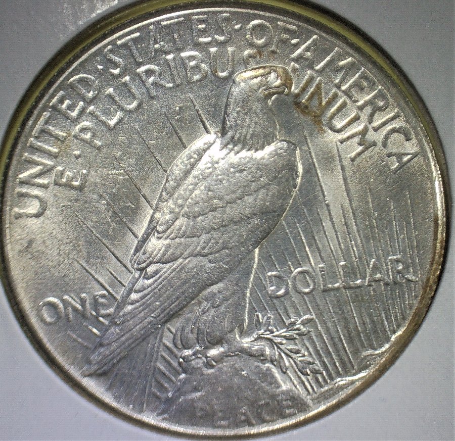 1927-Peace-For-Grading/Opinions