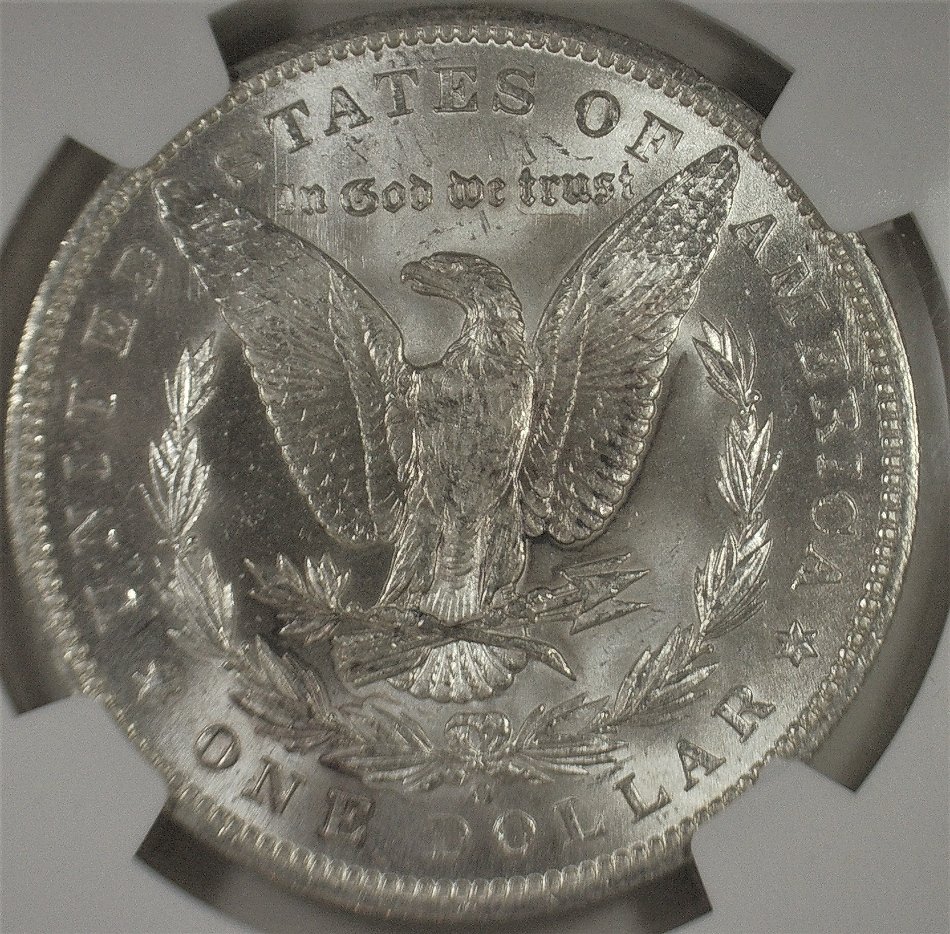 Continuing-List-To-Show-Everyones-Latest-Acquisitions
