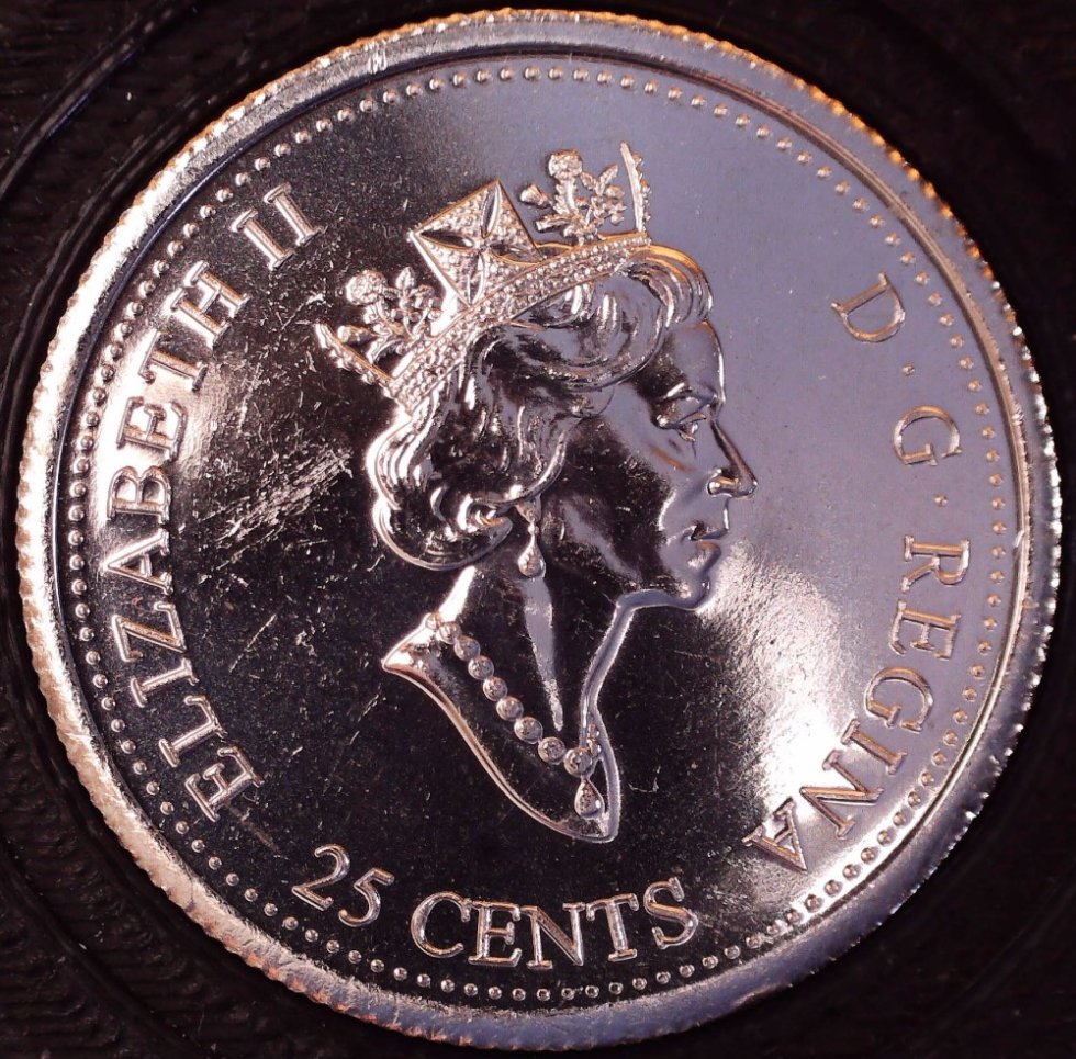 25-Cents-2000-Family-With-Collar-Chips