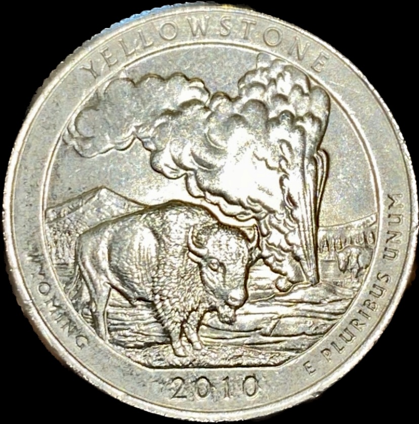 What-Do-Ya-Think?-2010-P-Washington-Quarter-Yellowstone