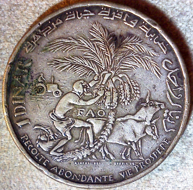 How-Far-Back-Can-We-Go?-Eighth-Edition!-We-Need---1366-C.-E.-A.-H.-767-Help-US-John-Conduit!