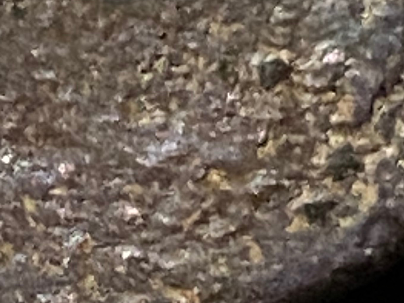 It's-A-Coin-My-Guess-Is-It's-A-Bust-Any-Information-Helpful-Thanks