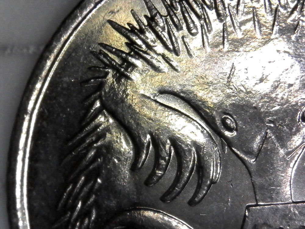 2025-Australian-5-Cent-Coin-Questions-Of-Error-Or-Cud