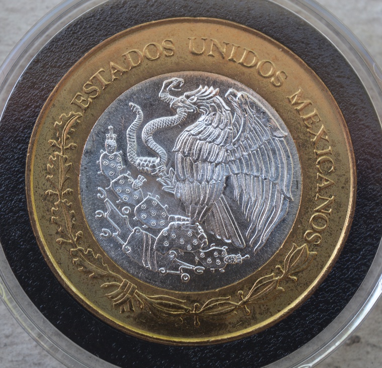 Post-Your-Coins-Depicting-Insects