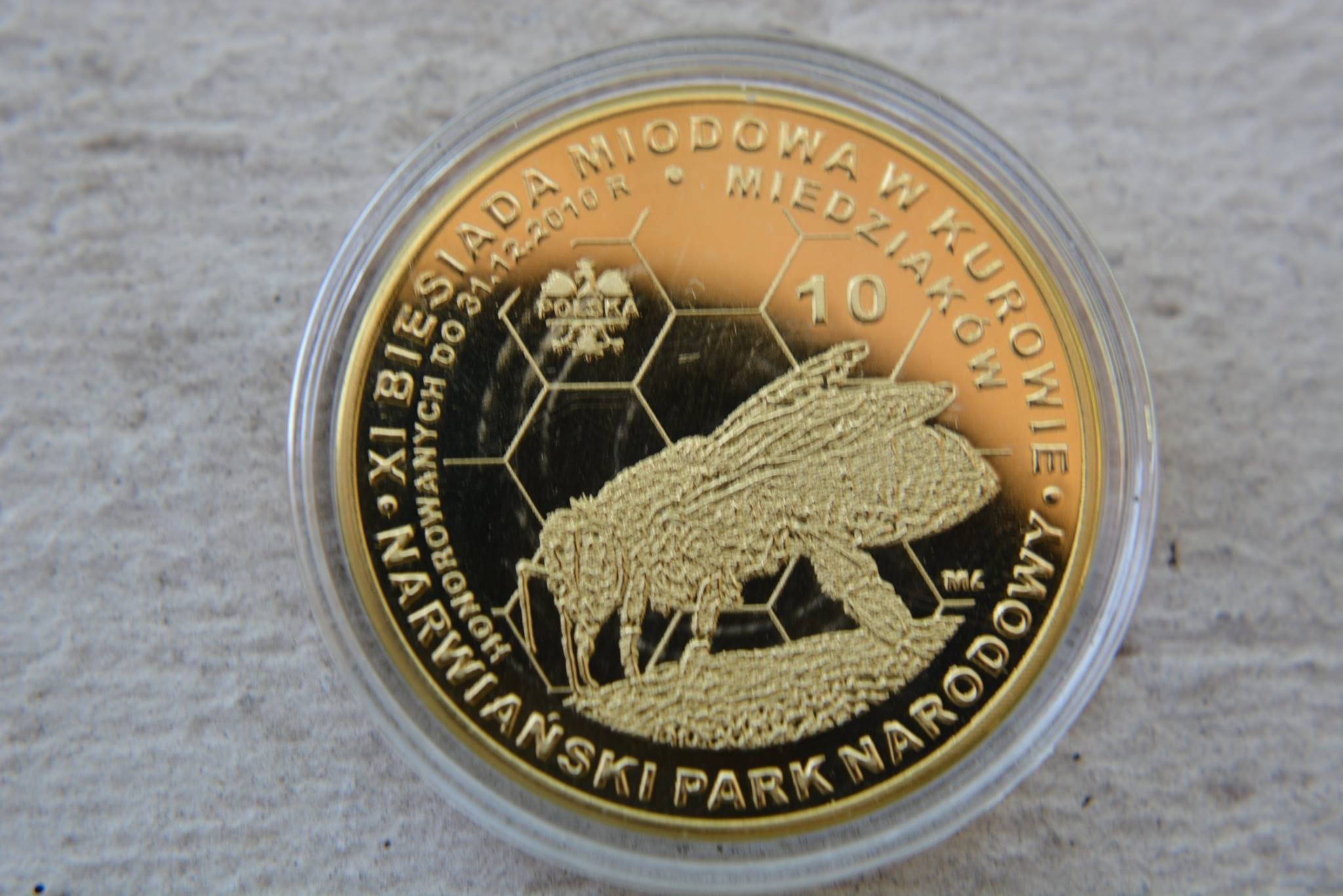 Post-Your-Coins-Depicting-Insects