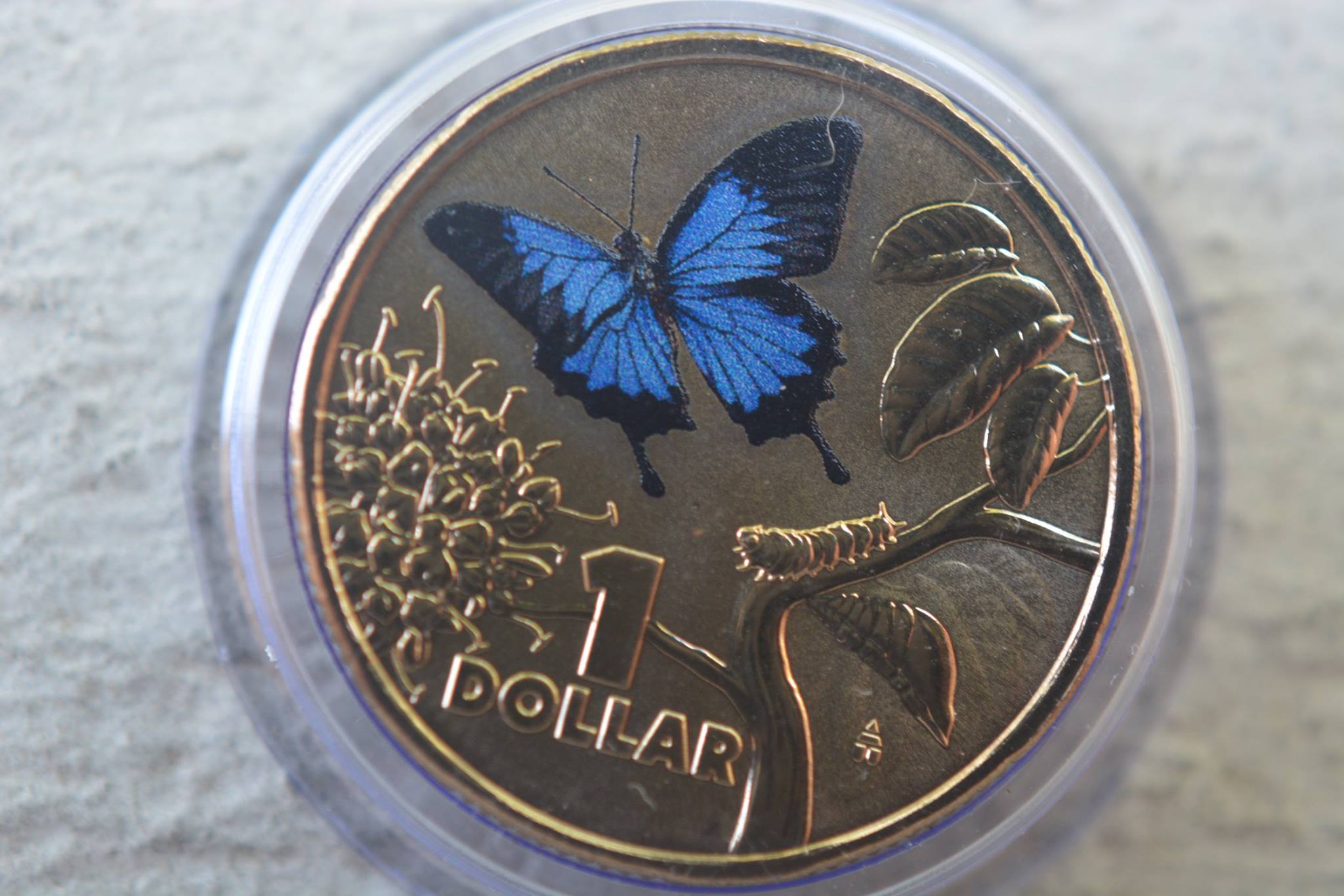 Post-Your-Coins-Depicting-Insects