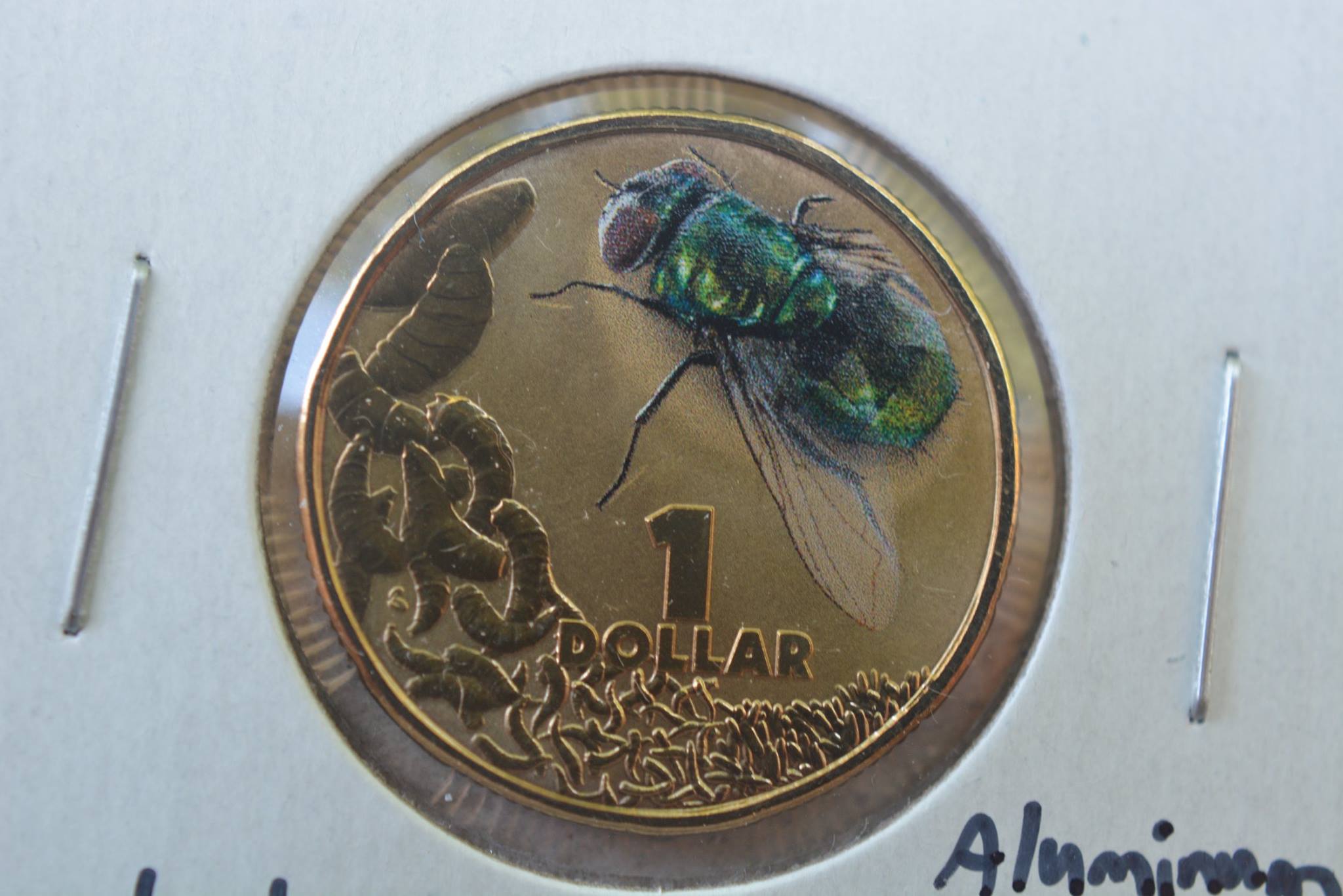 Post-Your-Coins-Depicting-Insects