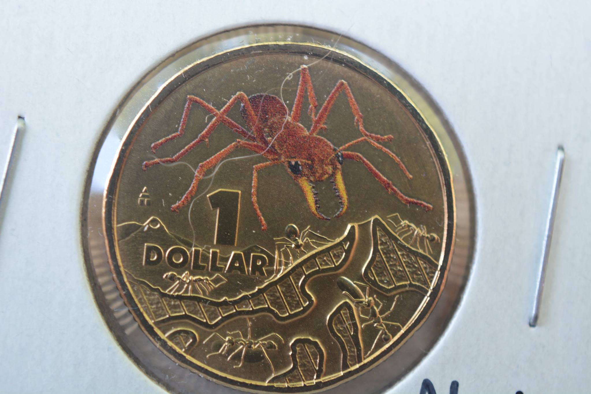 Post-Your-Coins-Depicting-Insects
