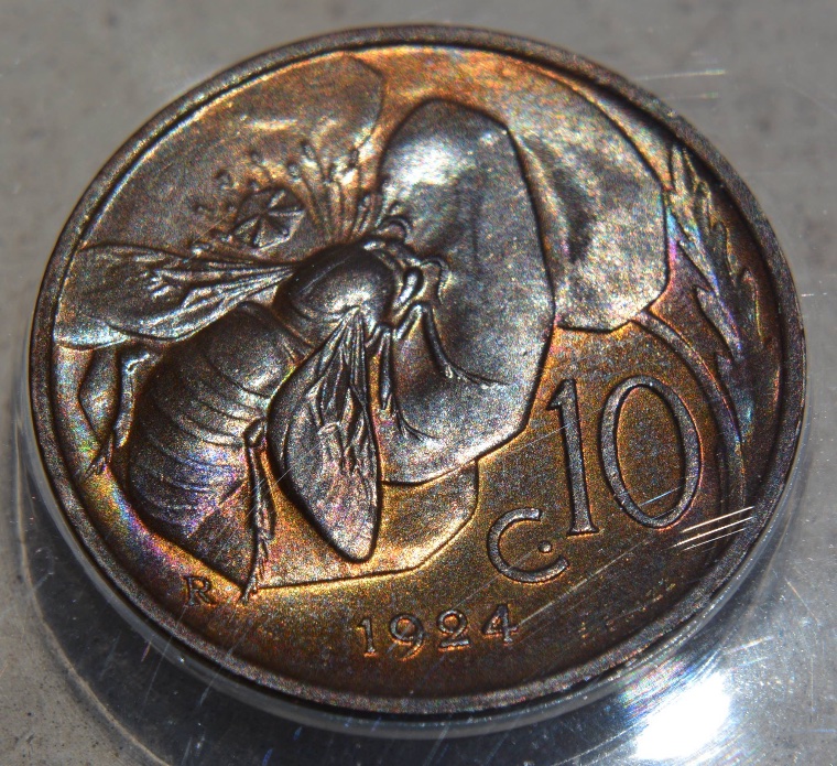 Post-Your-Coins-Depicting-Insects