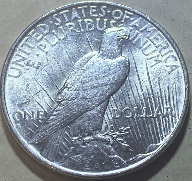 1922-Peace-Dollar-For-Grading