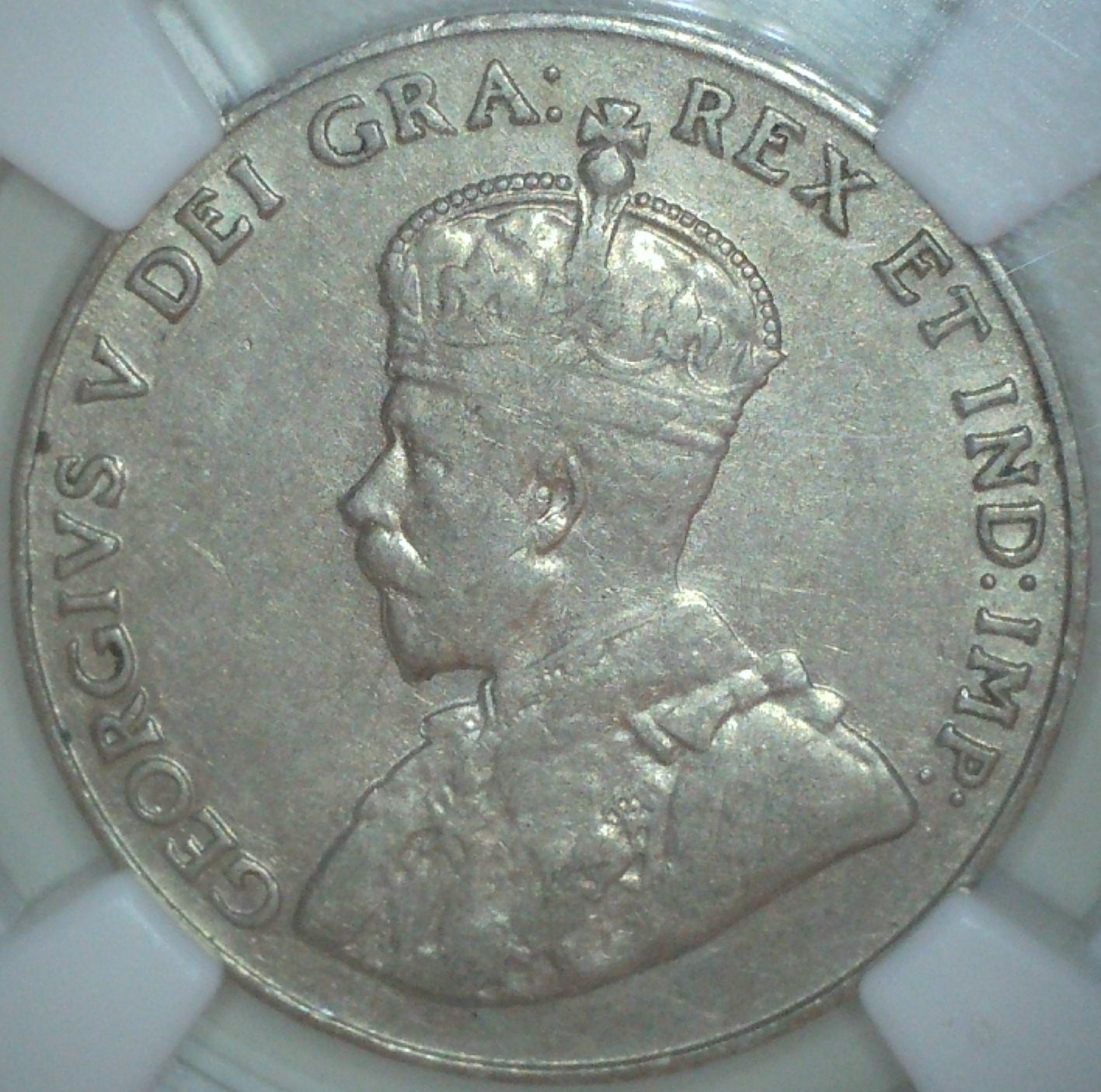 You-Vs-NGC-1925-5-Cent