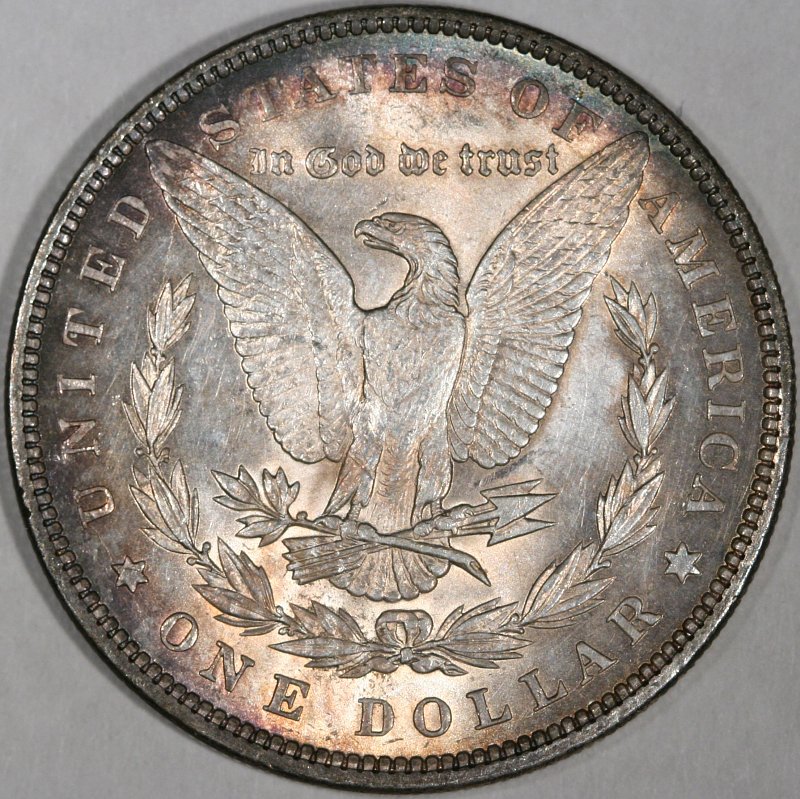 Is-This-A-VAM?-1897-P-Morgan-With-Pitting-On-Reverse